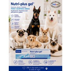 Nutriplus Gel...